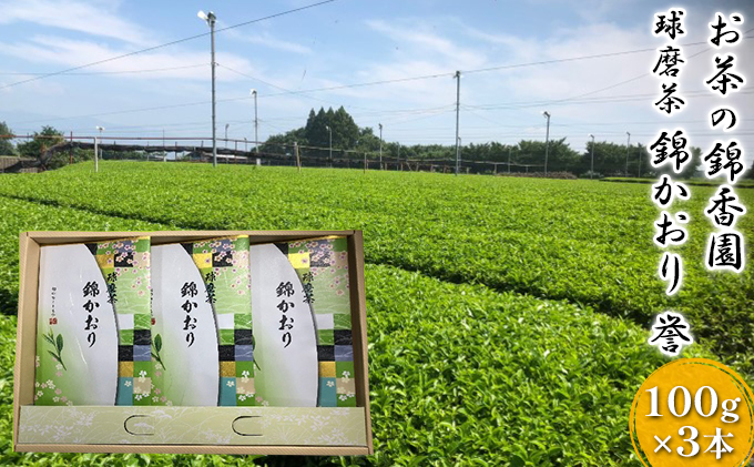 球磨茶【錦かおり：誉】玉緑茶 お茶 茶葉 