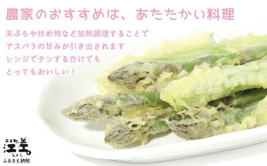 北海道江差町のふるさと納税 ＼春アスパラ 先行予約 2026年4月～順次出荷予定／北海道江差町産 アスパラガス【L～2Lサイズ】 2kg　約40本　太い！ 甘い！ ジューシー！　朝採り　農家直送　新鮮　鮮度保持　北海道　旬野菜　グリーンアスパラ　アスパラ　ギフト　贈答