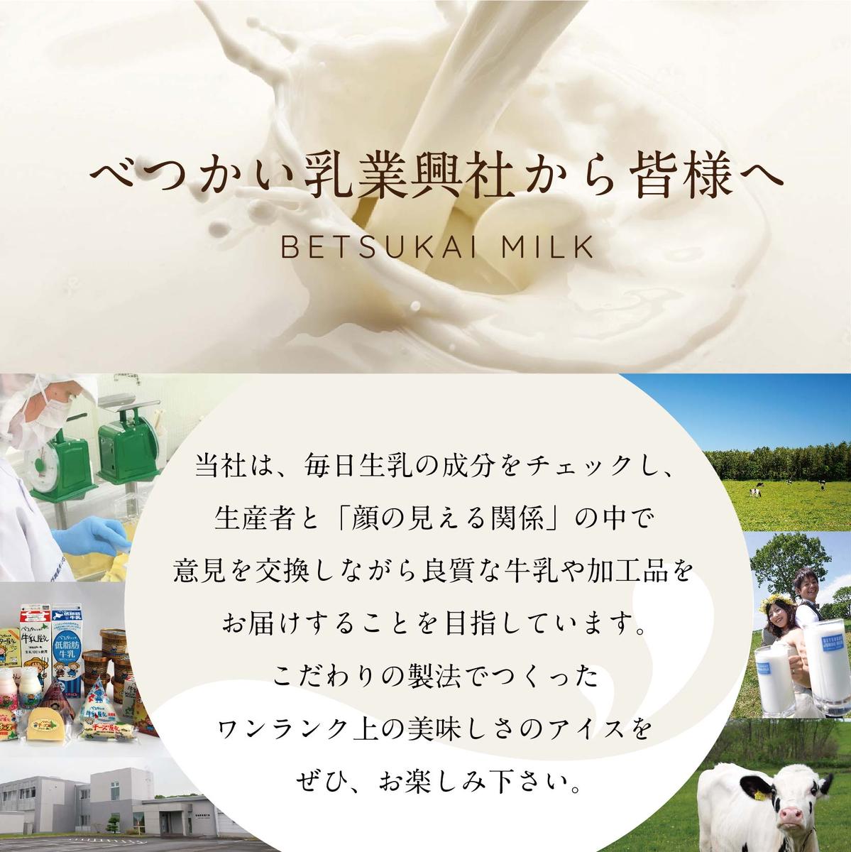 北海道別海町のふるさと納税 アイスクリーム12個(120ml×12）（A-07）（ 北海道アイス 北海道産アイス アイス アイススイーツ アイスクリーム 北海道産アイスクリーム 道産アイス 道産アイスクリーム ギフト 詰合せ 詰め合わせ ふるさと納税 ）