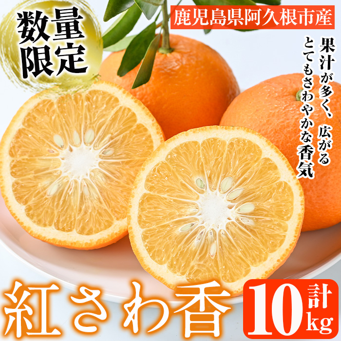 鹿児島県阿久根市のふるさと納税 ＜先行予約受付中！2026年1月上旬以降順次発送＞数量限定！紅さわ香(10kg) 国産 鹿児島県 阿久根市 果実 果物 フルーツ 柑橘 紅甘夏 みかん ミカン 期間限定 数量限定【桐野柑橘株式会社】akn070-03