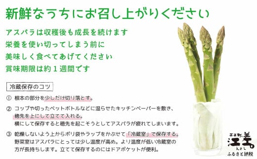 北海道江差町のふるさと納税 【夏芽 予約受付 6月中旬～順次出荷】2025年 北海道江差町産 アスパラガス【L～2Lサイズ】 2kg　約40本　太い！ 甘い！ ジューシー！　朝採り　農家直送　新鮮　鮮度保持　北海道　旬野菜　グリーンアスパラ　アスパラ　ギフト　贈答