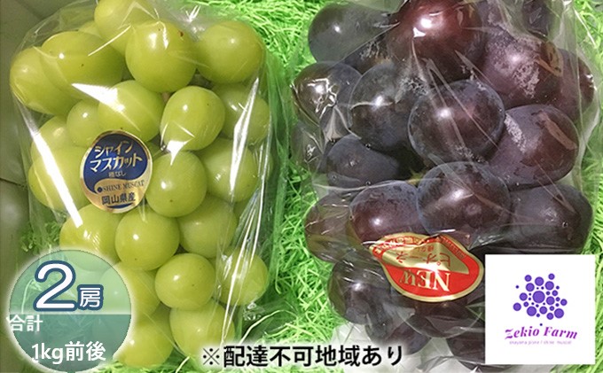 ぶどう食比べセット 2房 合計1kg前後 葡萄 フルーツ 岡山 高梁市産 ぜきお農園 ぶどうclub 2025年 先行予約 果物類 マスカット 果物