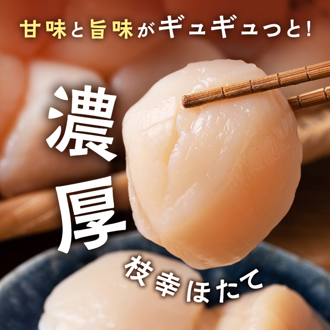北海道枝幸町のふるさと納税 プロも認めるオホーツクブランド「枝幸ほたて」冷凍貝柱1kg（3Sサイズ：41粒～50粒）枝幸漁協【 ほたて 帆立 ホタテ 魚貝類 魚介類 北海道 オホーツク 枝幸 】