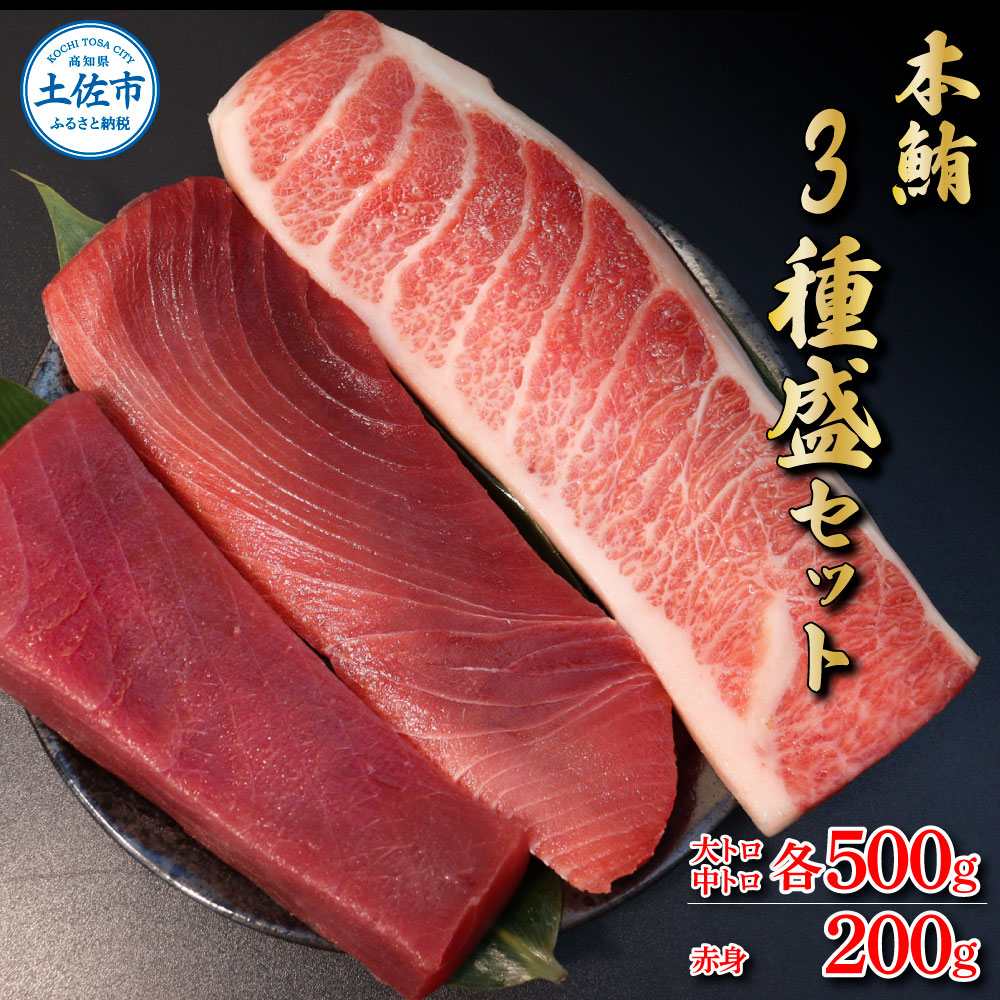 【高知県土佐市】本鮪 大トロ・中トロ 各500g・赤身200g まぐろ3種盛セット 食べ比べセット マグロ まぐろ 本まぐろ 刺し身 刺身 魚 海鮮 冷凍 故郷納税 ふるさとのうぜい 返礼品 高知県 高知