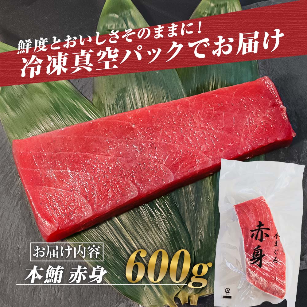 本鮪 赤身 600g マグロ まぐろ 本まぐろ 刺身 刺し身 魚 海鮮 冷凍 美味しい おいしい 故郷納税 ふるさとのうぜい 返礼品 高知県 高知