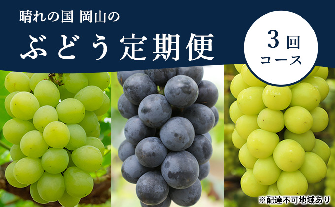 【岡山県里庄町】ぶどう 定期便 2026年 先行予約 晴れの国 岡山 の ぶどう定期便 3回コース 葡萄 ブドウ 岡山県産 国産 セット ギフト 果物 アレキサンドリア ニューピオーネ シャインマスカット 晴王 上品な香り