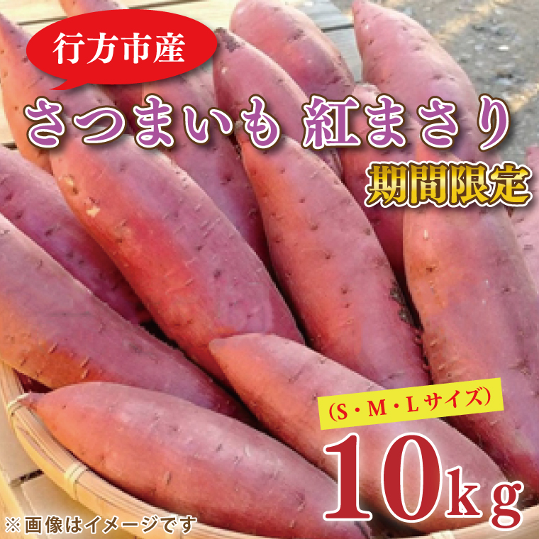 �y��錧�s���s�z�y2026�N2�����{��菇�������z�쌴���񂿂̂��܂��� �g�܂��� ��10kg�b�� ���܂��� �T�c�}�C�� ���� ���� �g�܂��� ���Ԍ��� ��s�\�� ��錧 �s���s(EL-2)