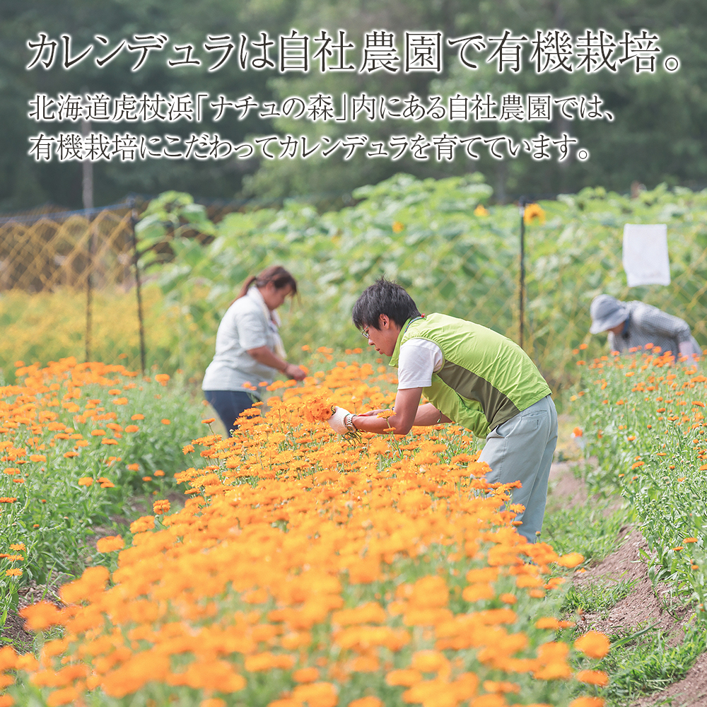 カレンデュラのいたわりヘアケアセット / 北海道白老町 | セゾンの