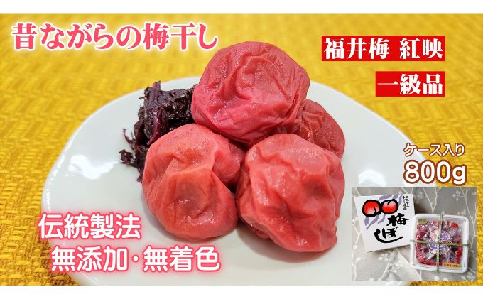 昔ながらの梅干し 一級品（福井県若狭町）伝統製法にこだわり仕上げた無添加・無着色の梅干し／ケース入り800g ご飯のお供 肉厚 種が小さい 紅映 天然塩 鮮やか 芳醇な香り コク 紫蘇漬け 二度漬け すっぱい 