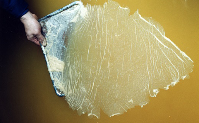 富士酢3本組ギフトセットA（K3f-h）飯尾醸造 自社製造 酒蔵 お米 棚田 丹後 天橋立 京都 濃厚 酢もともろみ 調味料 