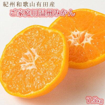 G7345_【2026年11月下旬より発送】紀州 有田産 濃厚甘熟 温州みかん 7.5kg 【家庭用 訳あり】