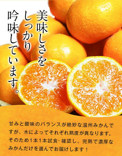 G7345_【2026年11月下旬より発送】紀州 有田産 濃厚甘熟 温州みかん 7.5kg 【家庭用 訳あり】