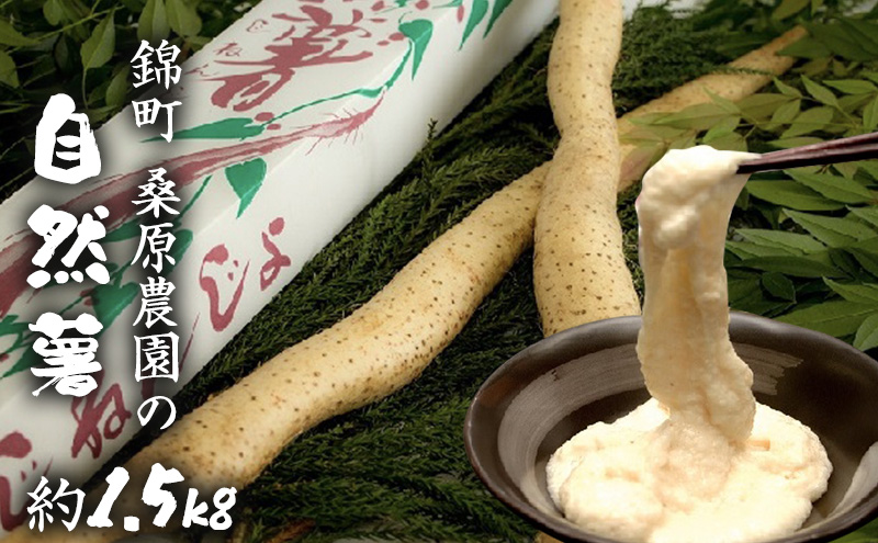 yF{ђzR 1.5kg ђY K_ zsF