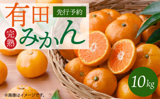 �y�a�̎R���L�c�S���󒬁zG7047_���n �L�c�݂��� 10kg