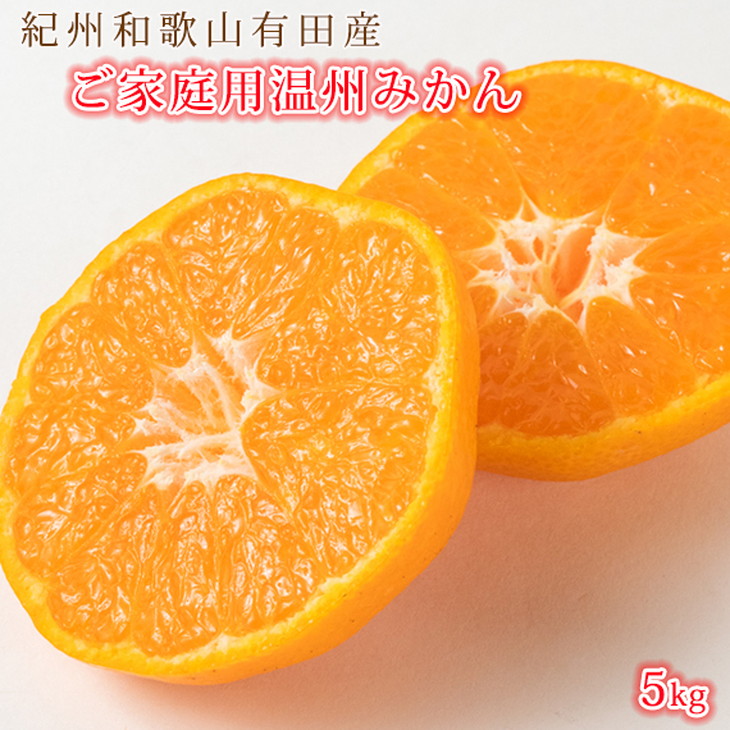 【和歌山県有田郡湯浅町】G7045_紀州 有田産 濃厚甘熟 温州みかん 5kg【家庭用 訳あり】