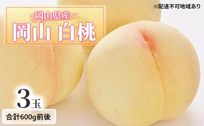 桃 2026年 先行予約 白桃 3玉入り 合計600g前後 岡山県産もも モモ 岡山県産 国産 フルーツ 果物 ギフト デザート 芳醇な香り 岡山の桃 