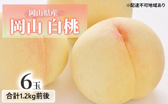 【岡山県玉野市】桃 2026年 先行予約 白桃 6玉入り 合計1.2kg前後 もも モモ 岡山県産 国産 フルーツ 果物 ギフト デザート 芳醇な香り 岡山の桃