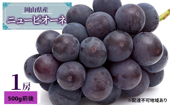 ぶどう 2026年 先行予約 ニュー ピオーネ 1房 500g前後 ブドウ 葡萄  岡山県産 国産 フルーツ 果物 ギフト デザート 食後 種なし 大粒 甘みが強い 酸味 バランス 