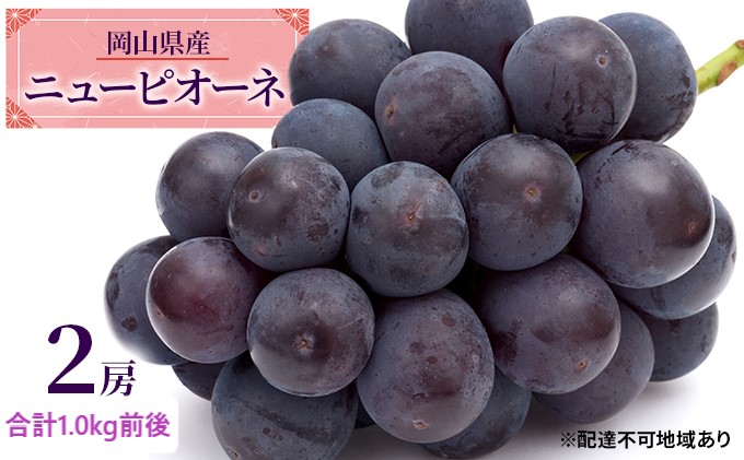 【岡山県玉野市】ぶどう 2026年 先行予約 ニュー ピオーネ 2房 合計1.0kg前後 ブドウ 葡萄  岡山県産 国産 フルーツ 果物 ギフト デザート 食後 種なし 大粒 甘みが強い 酸味 バランス