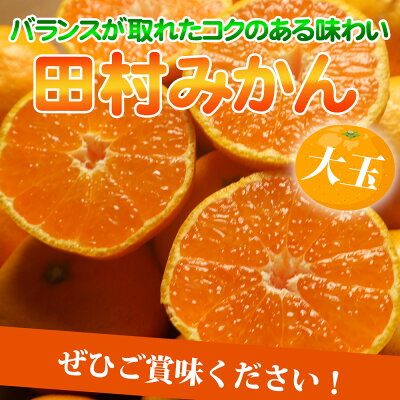 G7052_【2026年11月下旬より発送】高級ブランド 田村みかん 10kg 大玉サイズ