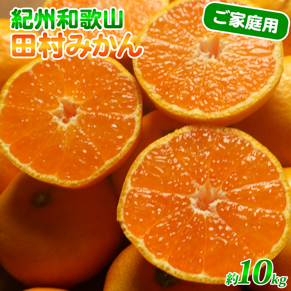 G7053_【2026年11月下旬より発送】高級ブランド 田村みかん 10kg【家庭用 訳あり】