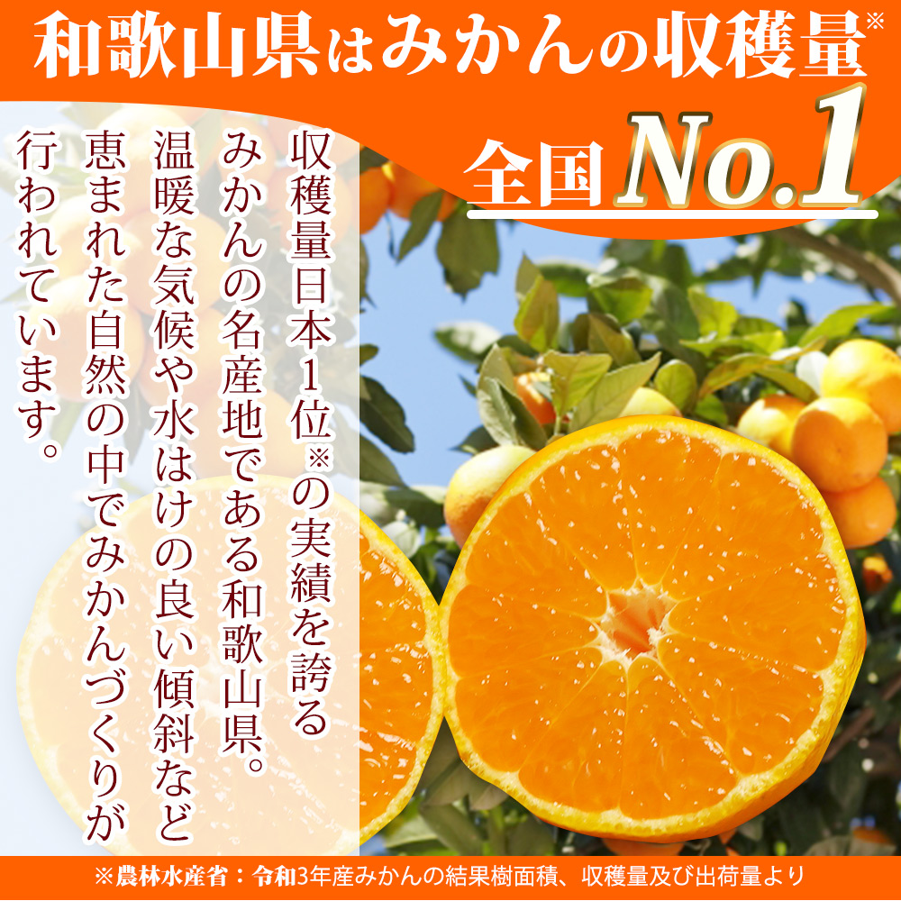 G7053_【2026年11月下旬より発送】高級ブランド 田村みかん 10kg【家庭用 訳あり】