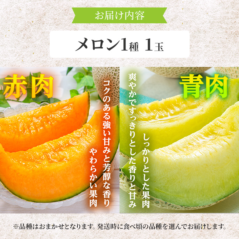 果物　メロン　パパイヤメロン　珍品　数量限定　初売　贈答　セール大容量 10kg 果物 メロン パパイヤメロン 珍品 数量限定 初売 贈答 セール 大