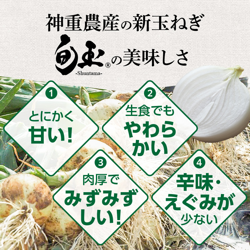 愛知県碧南市のふるさと納税 (2026年発送)新玉ねぎ 生がおいしい 神重農産のブランド玉ねぎ「旬玉」5kg ブランド玉ねぎ 玉ねぎ 国産 愛知県産 野菜 やさい 農家直送 畑直送 旬 期間限定 たまねぎ 先行予約 旬 特産 高評価 高リピート 人気 H105-148