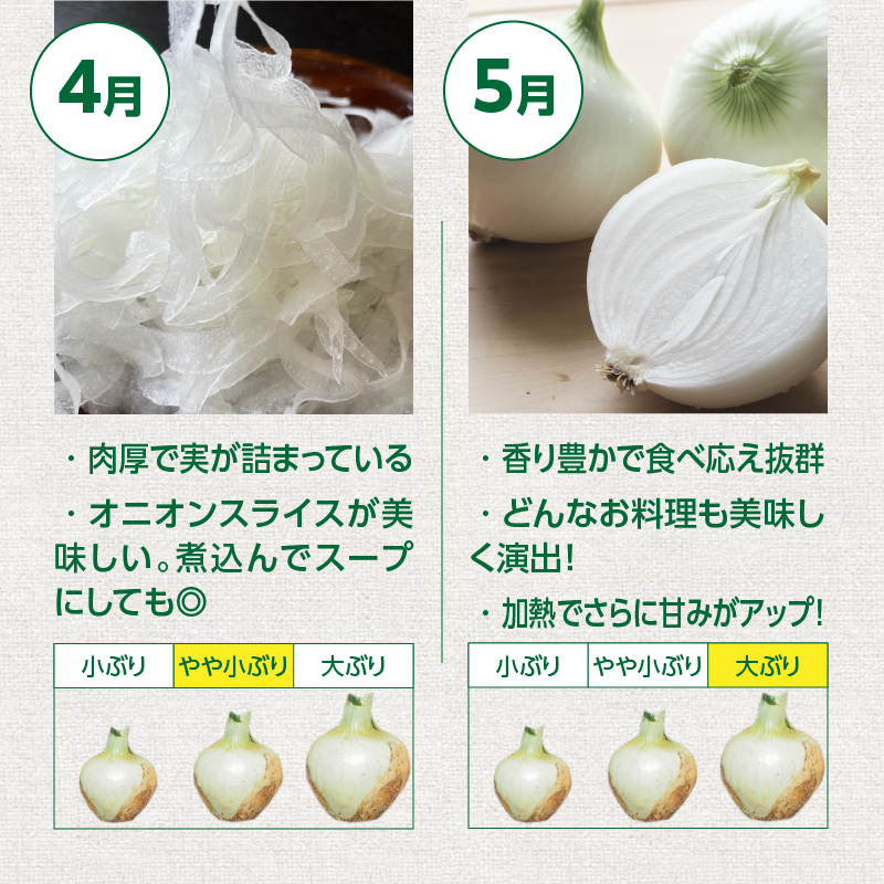 愛知県碧南市のふるさと納税 (2026年発送)新玉ねぎ 生がおいしい 神重農産のブランド玉ねぎ「旬玉」5kg ブランド玉ねぎ 玉ねぎ 国産 愛知県産 野菜 やさい 農家直送 畑直送 旬 期間限定 たまねぎ 先行予約 旬 特産 高評価 高リピート 人気 H105-148