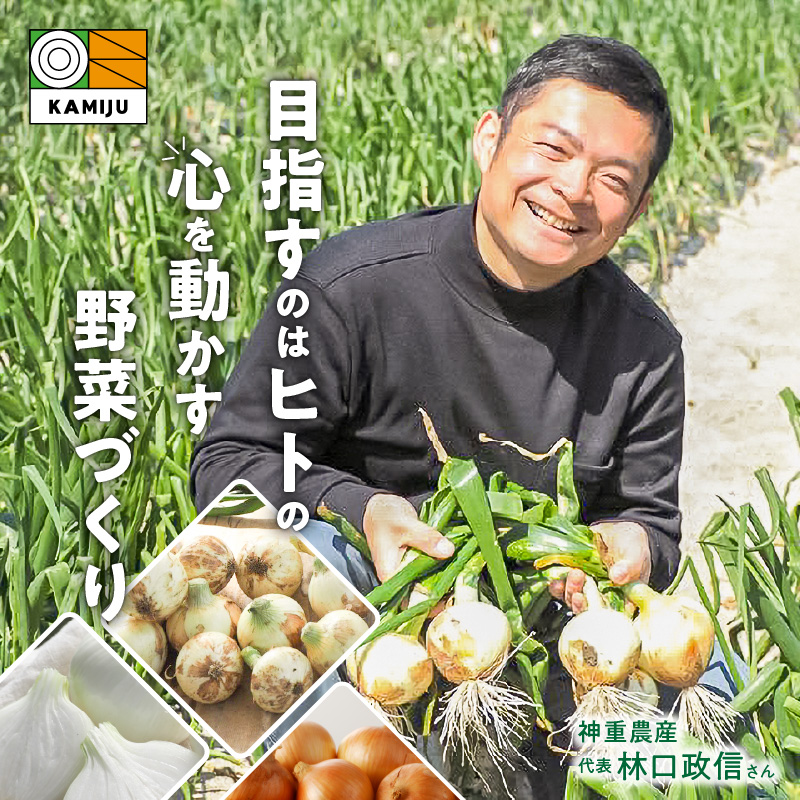 愛知県碧南市のふるさと納税 (2026年発送)新玉ねぎ 生がおいしい 神重農産のブランド玉ねぎ「旬玉」5kg ブランド玉ねぎ 玉ねぎ 国産 愛知県産 野菜 やさい 農家直送 畑直送 旬 期間限定 たまねぎ 先行予約 旬 特産 高評価 高リピート 人気 H105-148