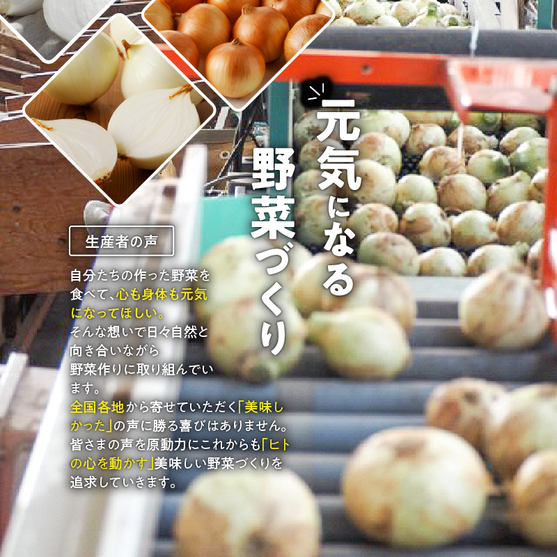 愛知県碧南市のふるさと納税 (2026年発送)新玉ねぎ 生がおいしい 神重農産のブランド玉ねぎ「旬玉」5kg ブランド玉ねぎ 玉ねぎ 国産 愛知県産 野菜 やさい 農家直送 畑直送 旬 期間限定 たまねぎ 先行予約 旬 特産 高評価 高リピート 人気 H105-148