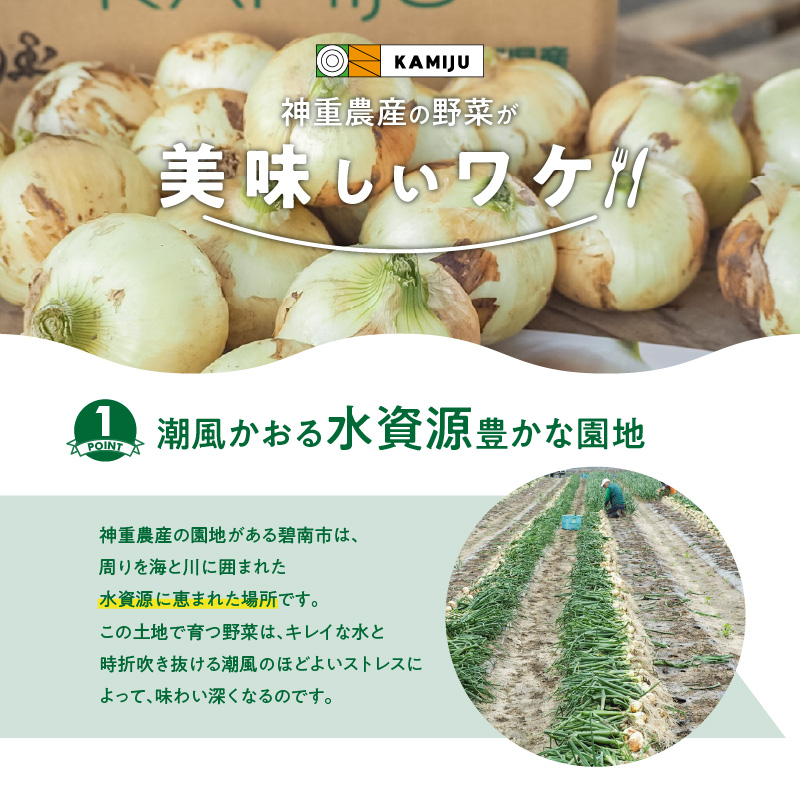 愛知県碧南市のふるさと納税 (2026年発送)新玉ねぎ 生がおいしい 神重農産のブランド玉ねぎ「旬玉」5kg ブランド玉ねぎ 玉ねぎ 国産 愛知県産 野菜 やさい 農家直送 畑直送 旬 期間限定 たまねぎ 先行予約 旬 特産 高評価 高リピート 人気 H105-148