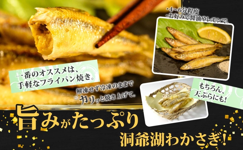 北海道洞爺湖町のふるさと納税 洞爺湖町産 黄金のわかさぎ 20尾×4P 計80尾 北海道産 ワカサギ わかさぎ 川魚 魚介類 産地直送 冷凍 お取り寄せ グルメ 料理 天ぷら フライ とうやマルシェ 北海道 洞爺湖町