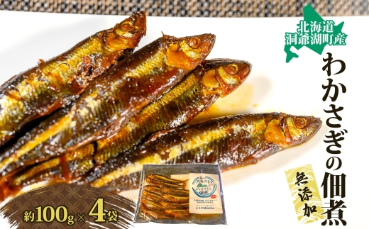 ykCΒz΁E킩̒ώ400g(100g×4) L JTM HHi