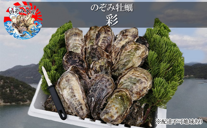 のぞみ 牡蠣  2026年先行予約 ［彩]  殻付き （ 三年牡蠣 ）約45個 ナイフ 、 簡単レシピ 付き 魚貝類 海の幸 海のミルク 海鮮 貝 濃厚 産地直送 取れたて 新鮮 食材 殻付き牡蠣 