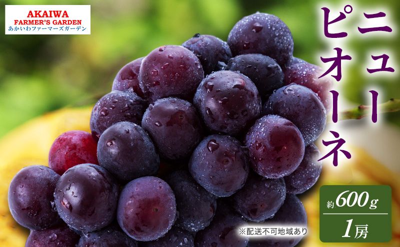 ぶどう 2025年 先行予約 ニューピオーネ 約600g 1房 葡萄 岡山県 赤磐市産 フルーツ 果物 あかいわファーマーズガーデン 