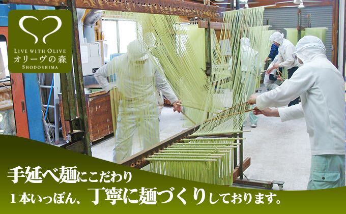 【 小豆島 】オリーヴの森 手延べ半生オリーヴうどん 小豆島産 オリーヴオイル仕立て 6ケパック 手延べ うどん 饂飩 ウドン 麺 麺類 半生 オリーブ オイル 香川 香川県 土庄 土庄町