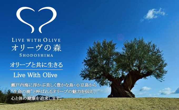 【 小豆島 】オリーヴの森 手延べ半生オリーヴうどん 小豆島産 オリーヴオイル仕立て 6ケパック 手延べ うどん 饂飩 ウドン 麺 麺類 半生 オリーブ オイル 香川 香川県 土庄 土庄町