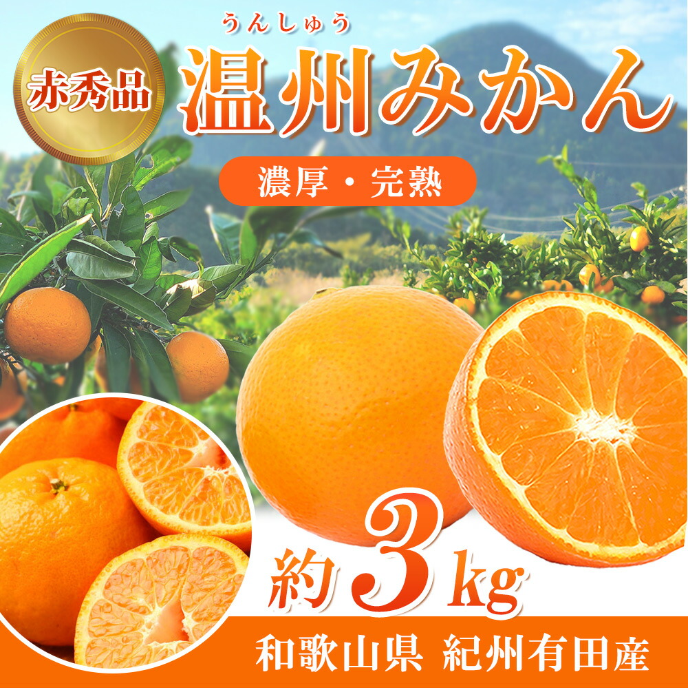 G7042_【2026年11月下旬より発送】紀州 有田産 濃厚甘熟 温州みかん 3kg 赤秀品【ミカン 蜜柑 柑橘 温州みかん 有田みかん 和歌山】