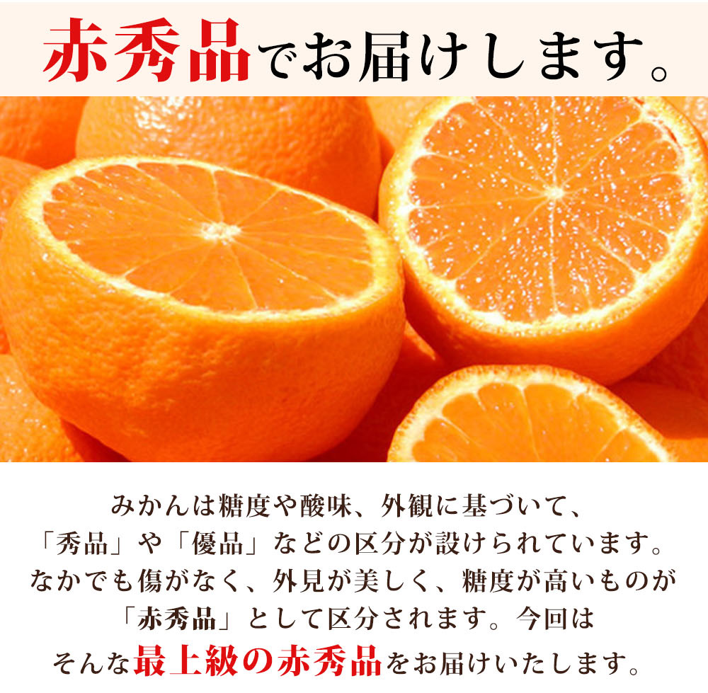 G7042_【2026年11月下旬より発送】紀州 有田産 濃厚甘熟 温州みかん 3kg 赤秀品【ミカン 蜜柑 柑橘 温州みかん 有田みかん 和歌山】