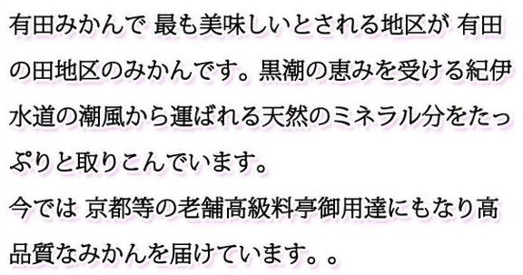 G7342_高級ブランド 田村みかん 5kg【家庭用 訳あり】