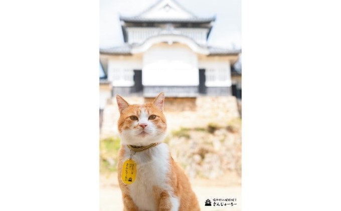 備中松山城 猫 城主『さんじゅーろー』ポストカード 10枚セット 雑貨