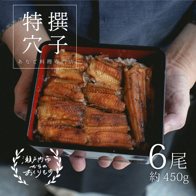 穴子 焼き穴子 6尾入 450g 蒲焼き 小分け 真空パック 厳選 特選 不揃い 小ぶり 魚貝類 魚介類 おかず 和食 魚料理 青島 冷蔵 冷蔵配送 岡山 岡山県 瀬戸内市