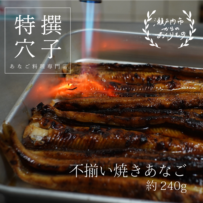 【岡山県瀬戸内市】穴子 焼き穴子 240g 蒲焼き 小分け 真空パック 厳選 特選 不揃い 小ぶり 魚貝類 魚介類 おかず 和食 魚料理 青島 冷蔵 冷蔵配送 岡山 岡山県 瀬戸内市