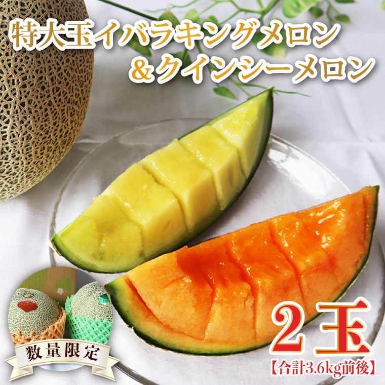【茨城県行方市】【2026年5月より順次発送】特大玉イバラキングメロン&クインシーメロン(各1玉/計2玉)|メロン クインシーメロン イバラキングメロン フルーツ 果物 くだもの 特大 先行予約 茨城県 行方市(BW-16-1)