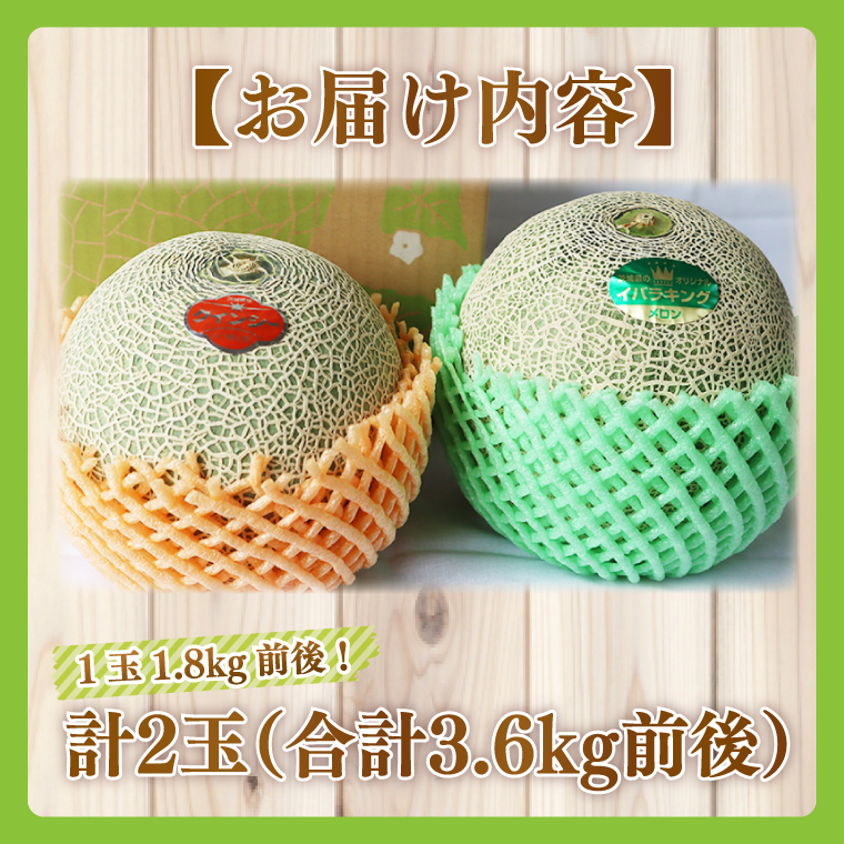 【2026年5月より順次発送】特大玉イバラキングメロン＆クインシーメロン（各1玉／計2玉）｜メロン クインシーメロン イバラキングメロン フルーツ 果物 くだもの 特大 先行予約 茨城県 行方市(BW-16-1)