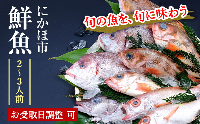 秋田県にかほ市のふるさと納税 鮮魚 開けたらすぐ食べられる下処理済み 海産物 2～3人前 セット 日本海の鮮魚 魚 パック 詰め合わせ 海鮮セット 鮮魚ボックス 海鮮 海の幸 魚介 魚介類 刺身 切り身 ひらめ 鯛 甘エビ 鯵 あんこう 鮭 カレイ ハタハタ 鱈 ズワイガニ 食べ比べ 冷蔵