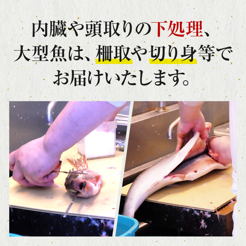 秋田県にかほ市のふるさと納税 鮮魚 開けたらすぐ食べられる下処理済み 海産物 2～3人前 セット 日本海の鮮魚 魚 パック 詰め合わせ 海鮮セット 鮮魚ボックス 海鮮 海の幸 魚介 魚介類 刺身 切り身 ひらめ 鯛 甘エビ 鯵 あんこう 鮭 カレイ ハタハタ 鱈 ズワイガニ 食べ比べ 冷蔵
