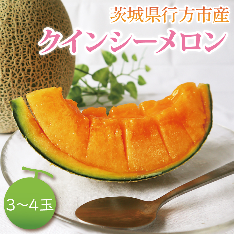 【茨城県行方市】【2026年5月より順次発送】クインシーメロン 3〜4玉|メロン クインシーメロン フルーツ 果物 くだもの 先行予約 茨城県 行方市(BW-17-1)
