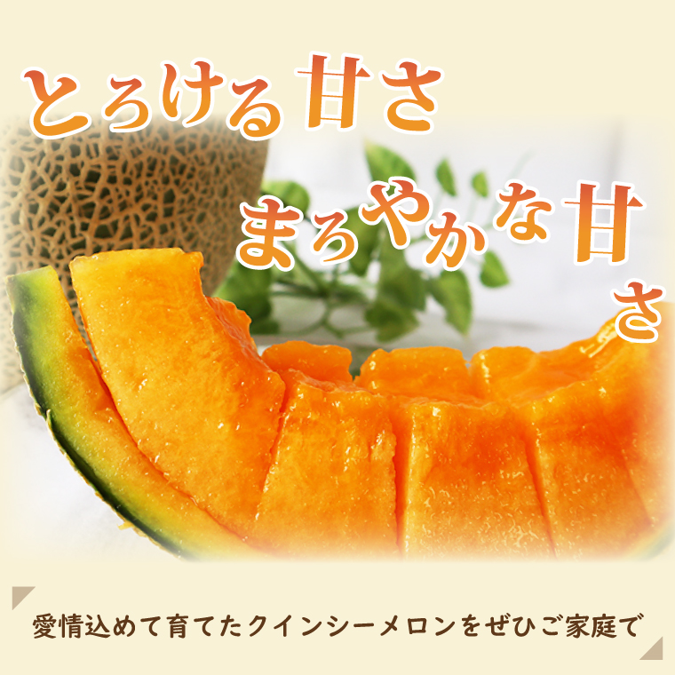 【2026年5月より順次発送】クインシーメロン 3～4玉｜メロン クインシーメロン フルーツ 果物 くだもの 先行予約 茨城県 行方市(BW-17-1)